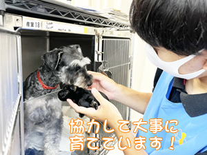 ２年生、子犬のお世話☆